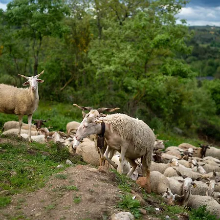 Four Seasons Private Pool Huge Palace