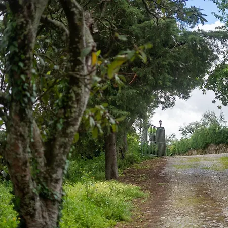 Vakantiehuis Four Seasons Private Pool Huge Palace Mesquitela