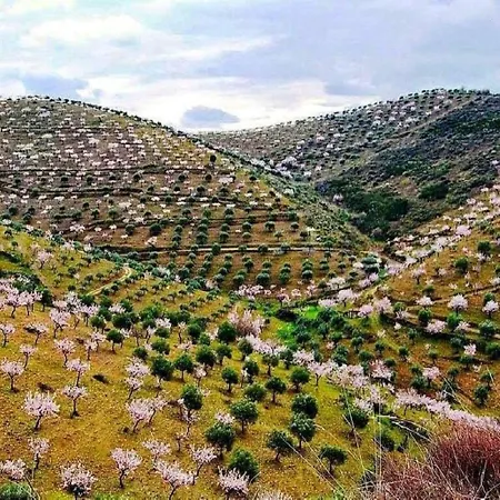 Four Seasons Private Pool Huge Palace Vakantiehuis