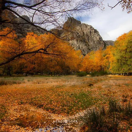 Four Seasons Private Pool Huge Palace Vakantiehuis *