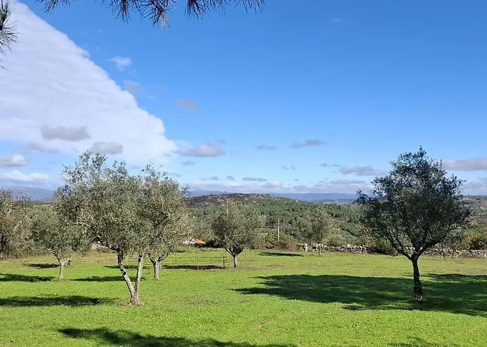 Four Seasons Private Pool Huge Palace Hébergement de vacances Mesquitela