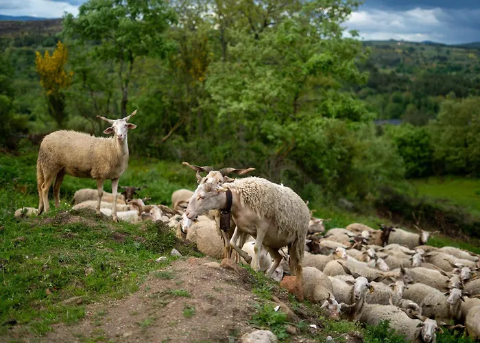 Four Seasons Private Pool Huge Palace