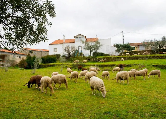 Hébergement de vacances Four Seasons Private Pool Huge Palace *