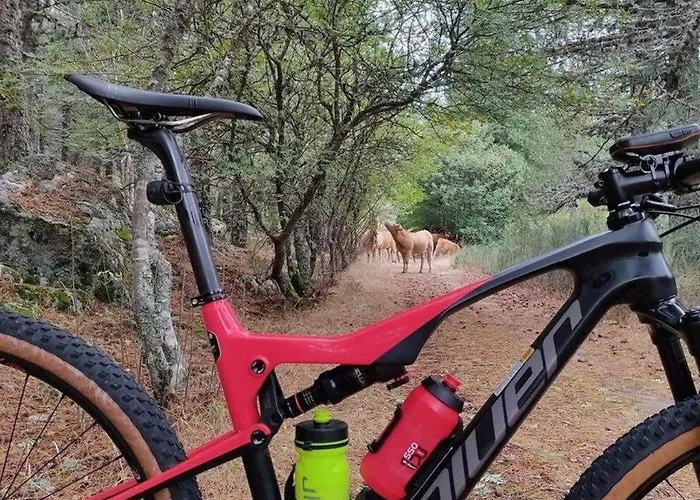 Hébergement de vacances Four Seasons Private Pool Huge Palace