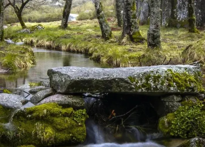 Four Seasons Private Pool Huge Palace Hébergement de vacances *