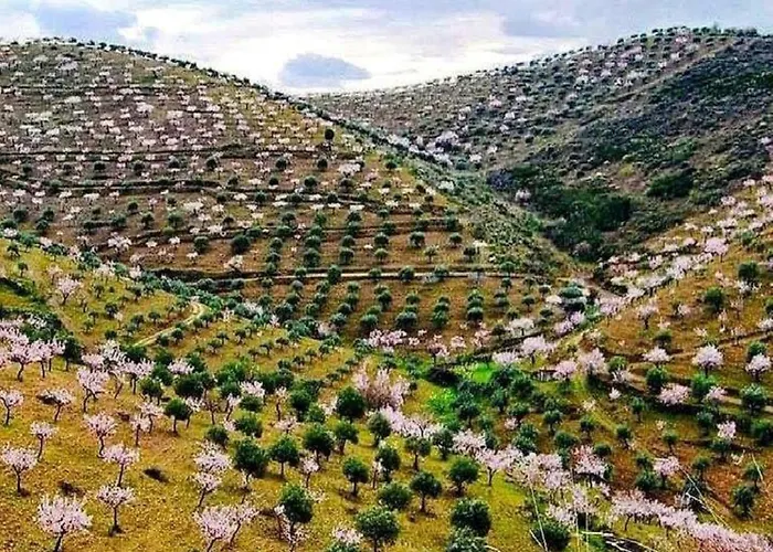 Four Seasons Private Pool Huge Palace Hébergement de vacances