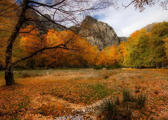 Four Seasons Private Pool Huge Palace Hébergement de vacances *